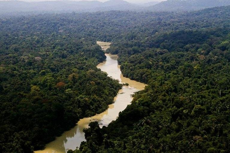 Proposta prev&ecirc; transforma&ccedil;&atilde;o de parte do territ&oacute;rio em &Aacute;rea de Prote&ccedil;&atilde;o Ambiental, mais flex&iacute;vel