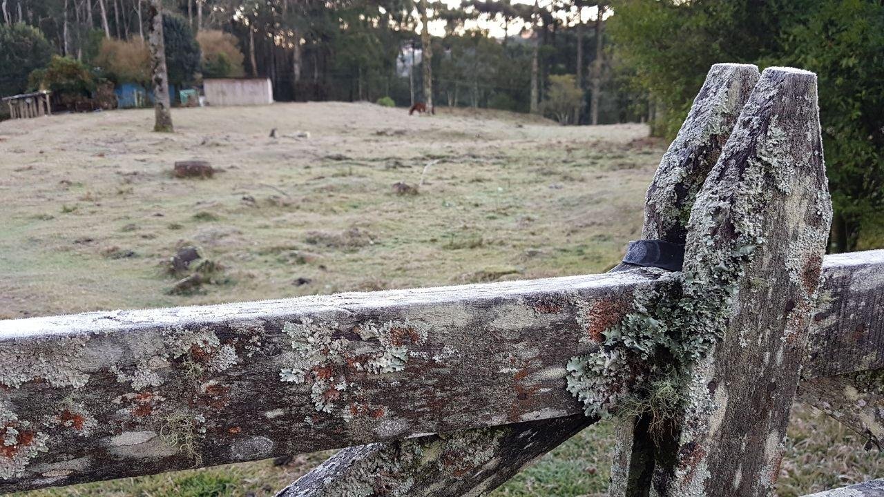 Gramado amanheceu com geada nesta ter&ccedil;a-feira