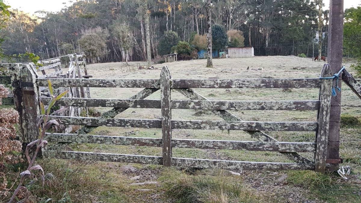 Term&ocirc;metros podem desabar a -8&deg;C em S&atilde;o Jos&eacute; dos Ausentes