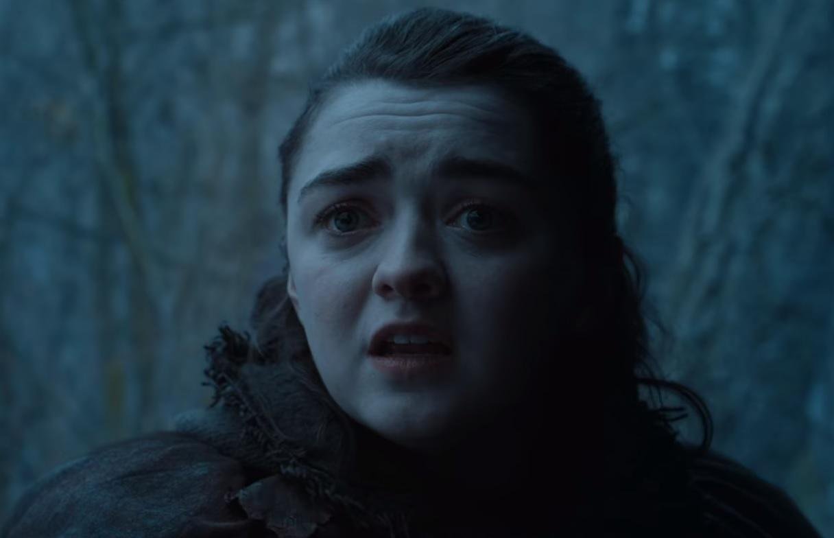 Maisie Williams comentou cena de Arya 