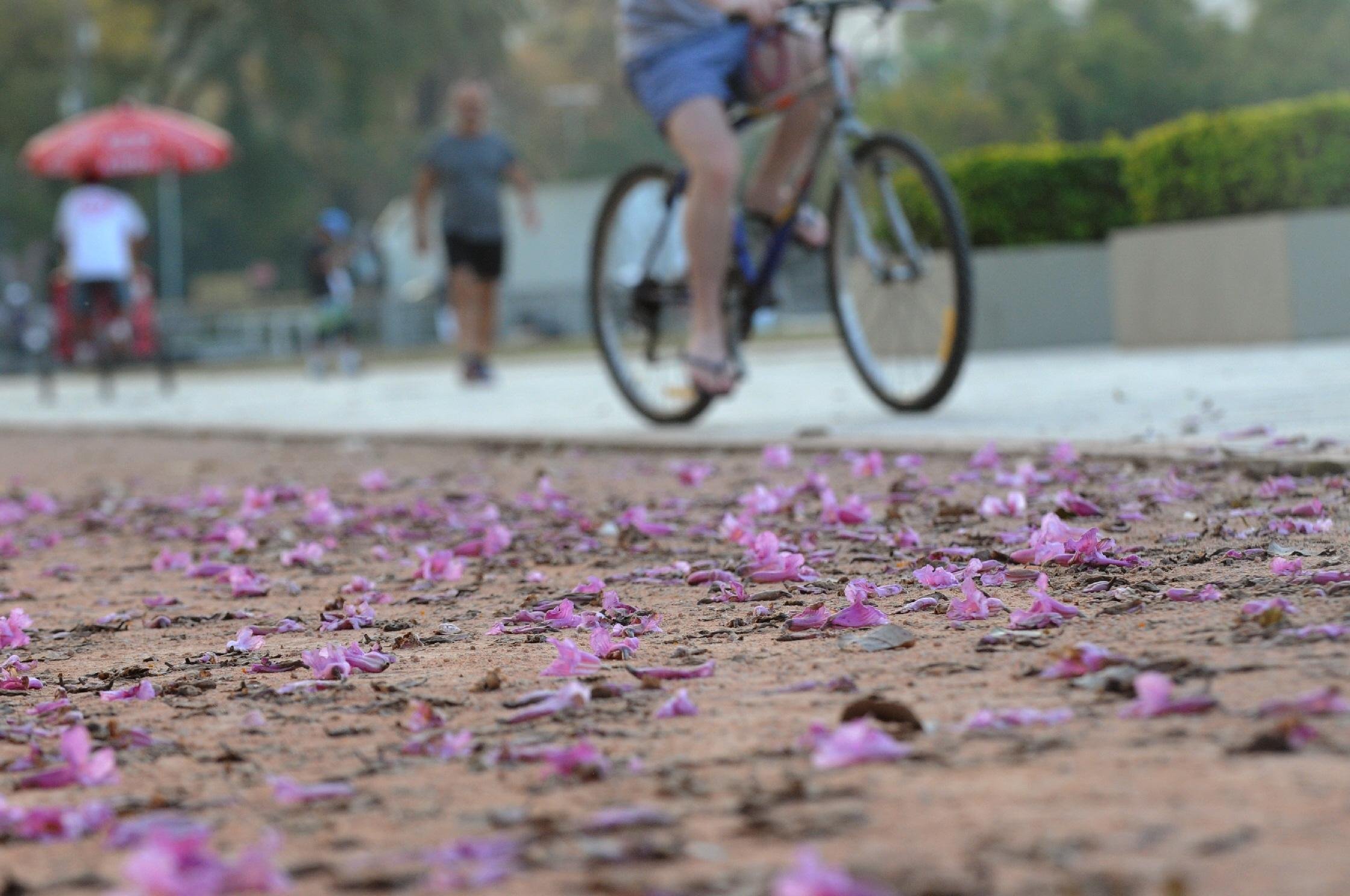 M&aacute;xima em Porto Alegre ser&aacute; de 26&deg;C em domingo de sol