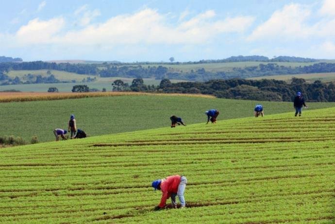 Objetivo do estudo &eacute; discutir sobre distin&ccedil;&atilde;o entre rural e urbano at&eacute; 2020