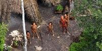 Funai lança portal que permite monitorar terras indígenas de forma remota