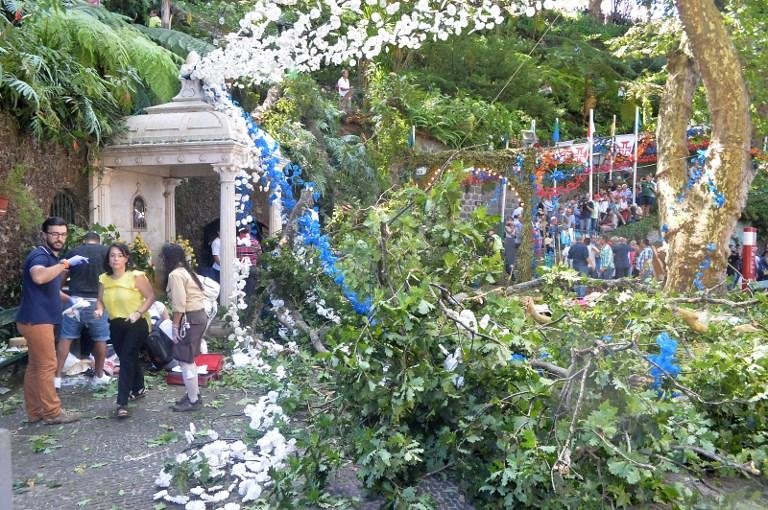 Carvalho de quase 200 anos caiu sobre multid&atilde;o em frente a uma imagem de Nossa Senhora do Monte