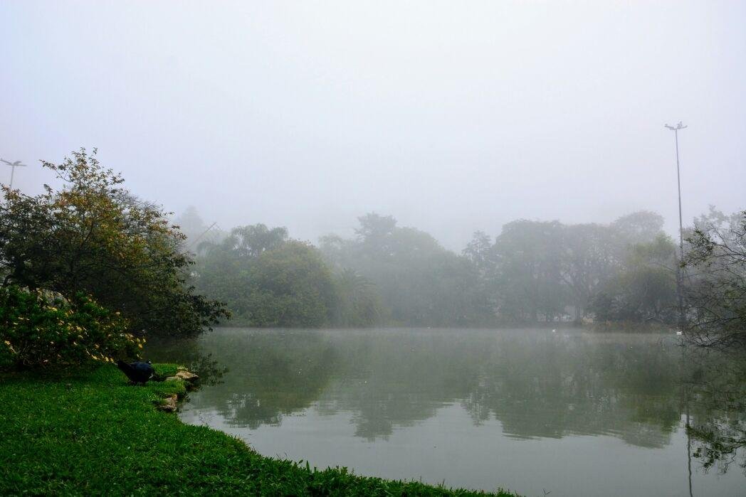 Porto Alegre amanheceu com neblina nesta sexta-feira