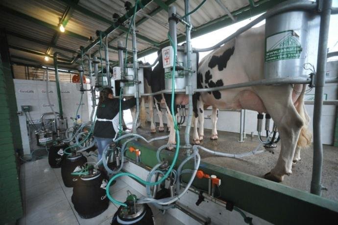 Representantes da cadeira produtiva devem export o momento de crise vivido por conta dos baixos pre&ccedil;os