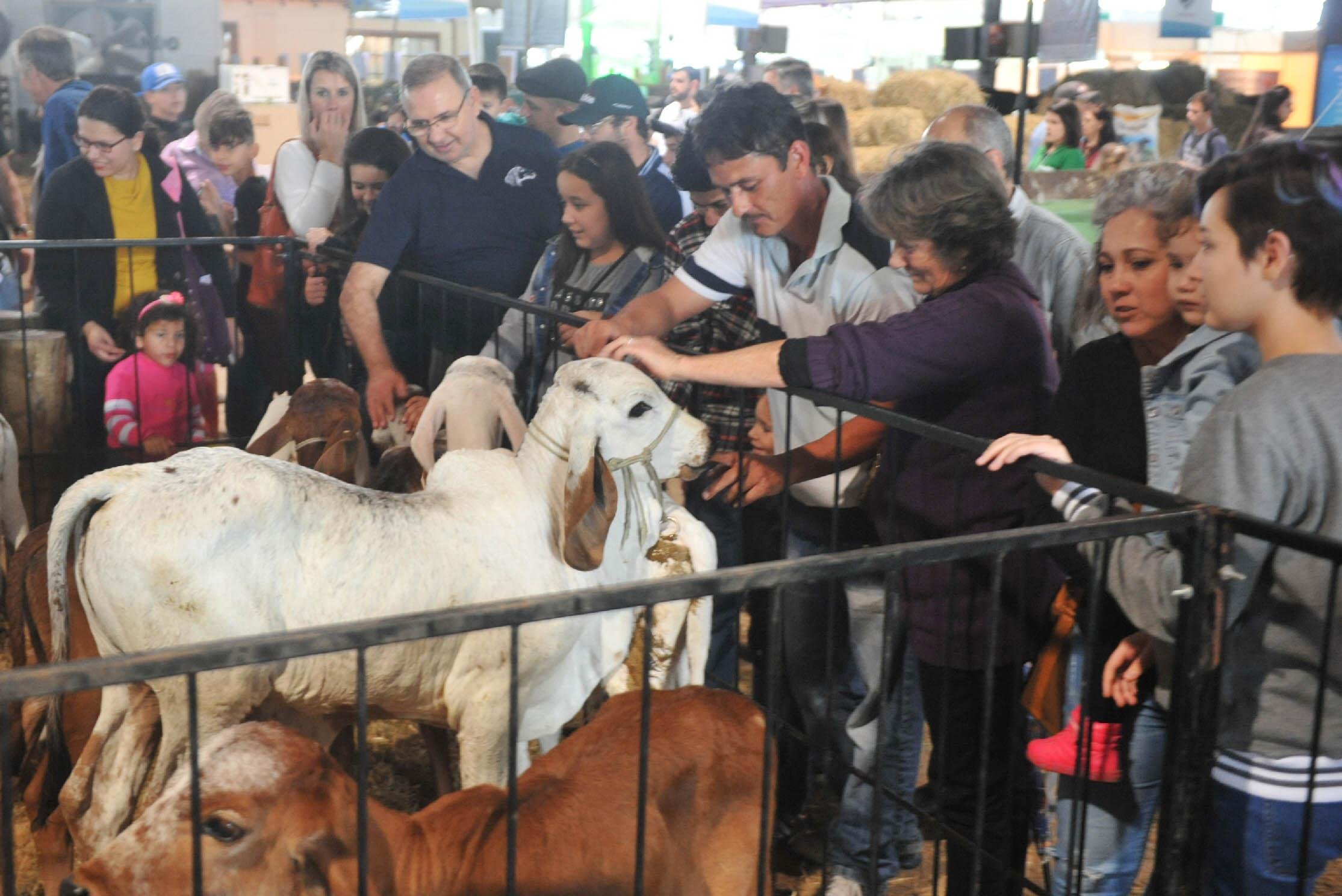 Visitantes demonstraram curiosidades pela observa&ccedil;&atilde;o e contato com animais