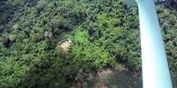 Greenpeace alertou Brasil sobre área de desmatamento