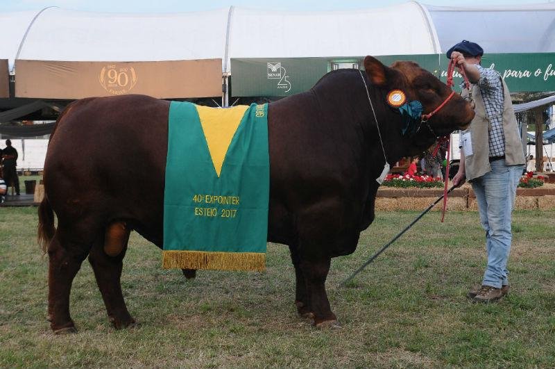 Touro MR Gango foi o premiado como grande campe&atilde;o 