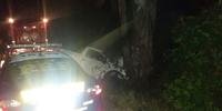 Carro da vítima colidiu com uma árvore na margem da rodovia