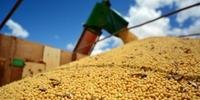 Produção de cereais em países de baixa renda e com déficit de alimentos também deverá aumentar em 2,2% este ano
