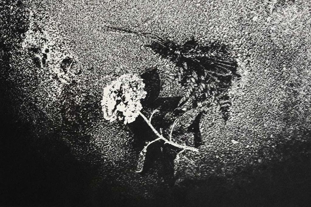 "Oferenda" &eacute; uma litografia sobre offset impressa sobre papel hannem&uuml;hle