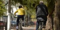 Cidade tem falta de políticas públicas que incluam ciclistas