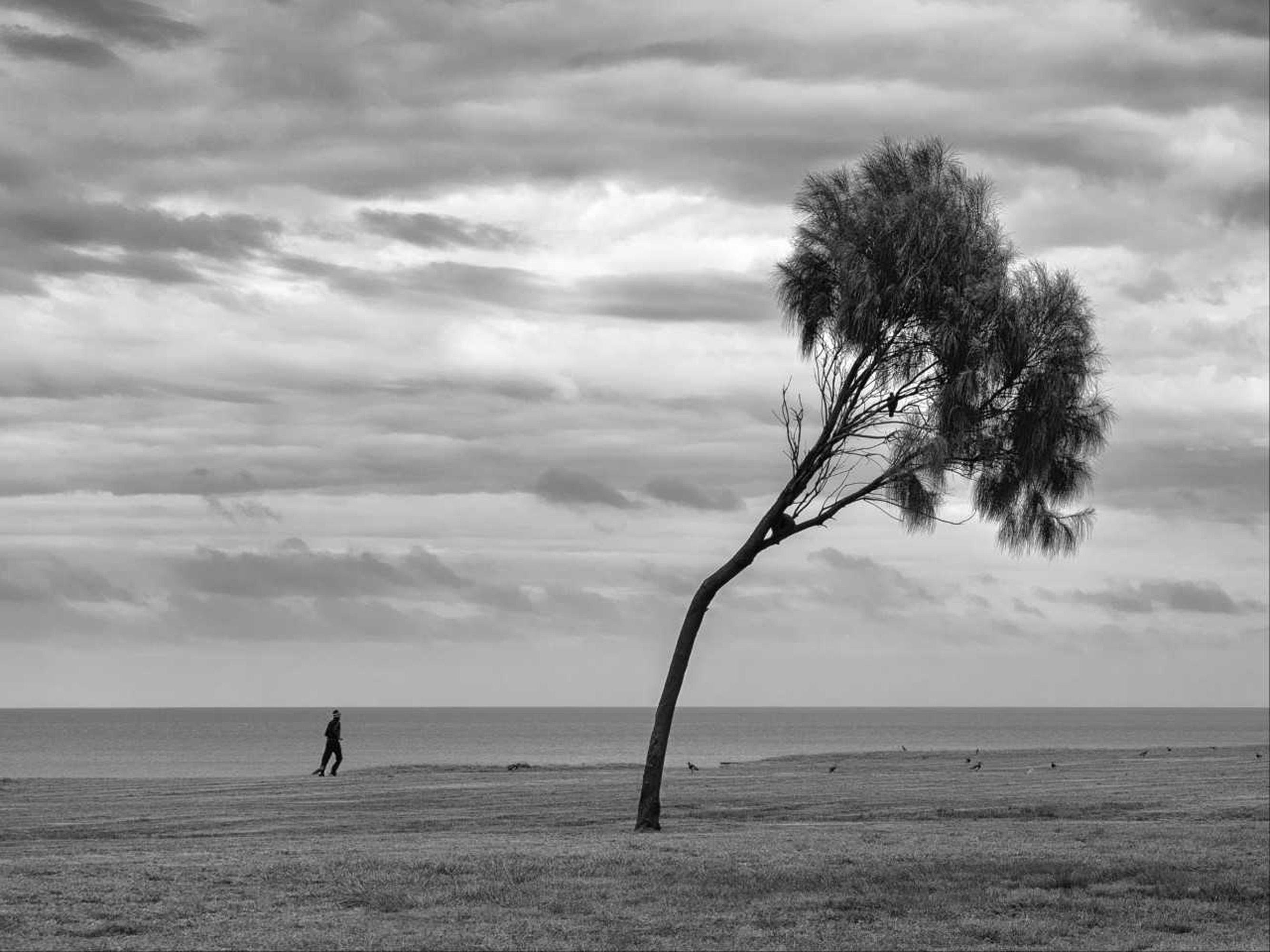 Obra de Marco Cavalheiro &eacute; exposta em tr&ecirc;s vers&otilde;es