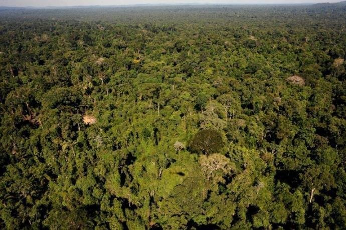 Decreto que revoga a extin&ccedil;&atilde;o da Renca &eacute; publicado no Di&aacute;rio Oficial