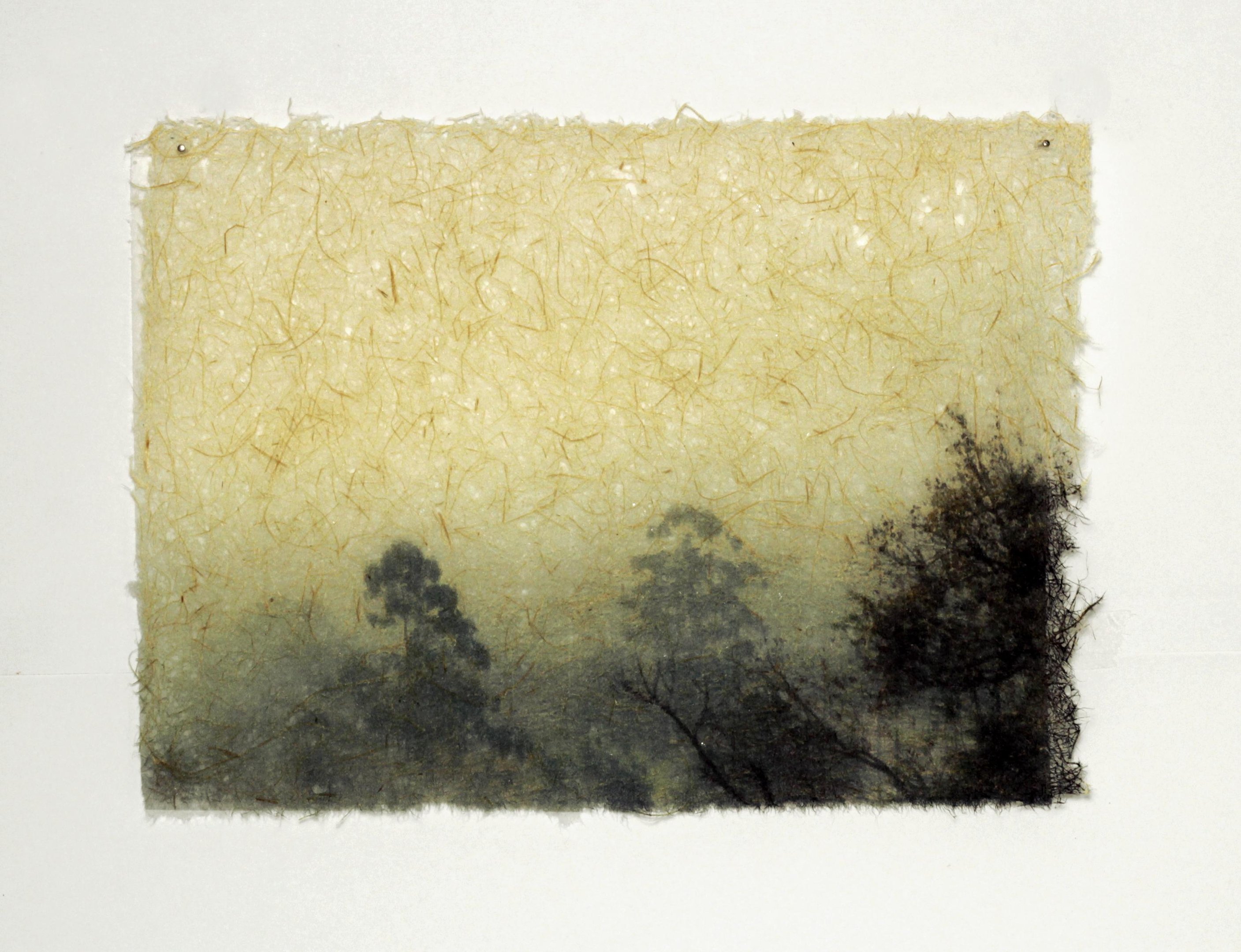 Fotografias s&atilde;o ampliadas em papel artesanal