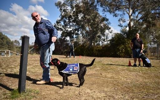 Animais est&atilde;o ajudando ex-veteranos militares australianos a superar as cicatrizes mentais da guerra