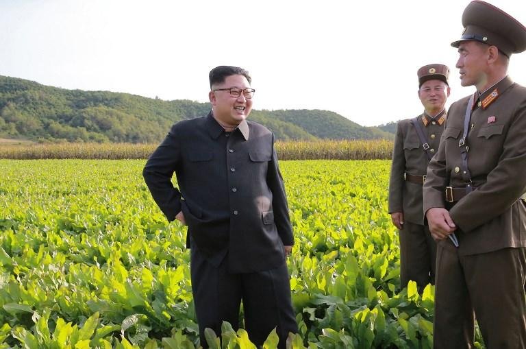 "Estamos avaliando" o regime norte-coreano, disse ele &agrave; imprensa.