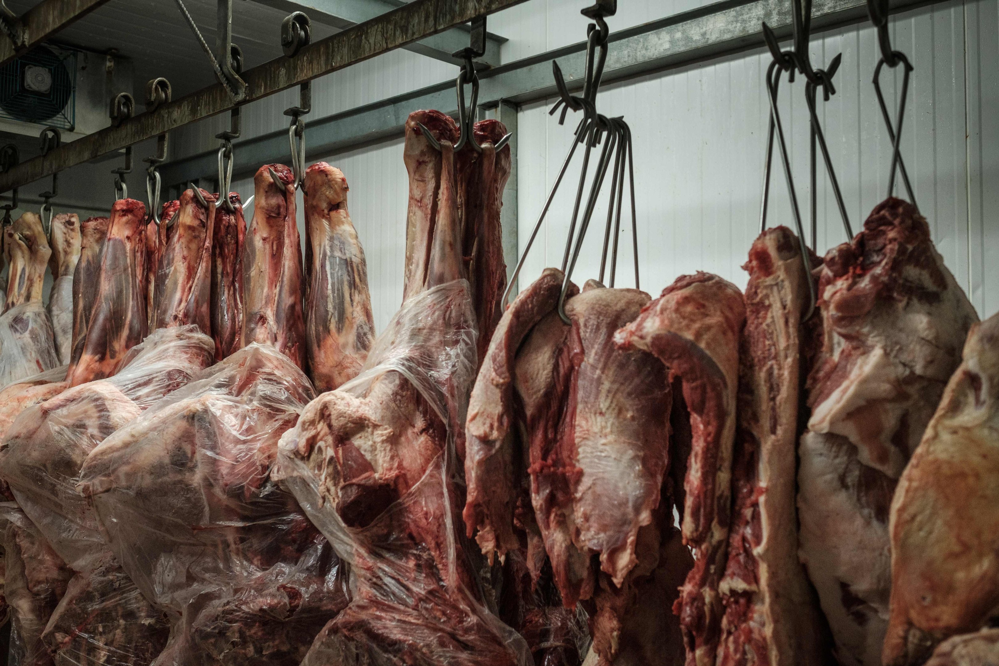 Comiss&atilde;o Europeia prop&ocirc;s aceitar 70 mil toneladas de carne bovina