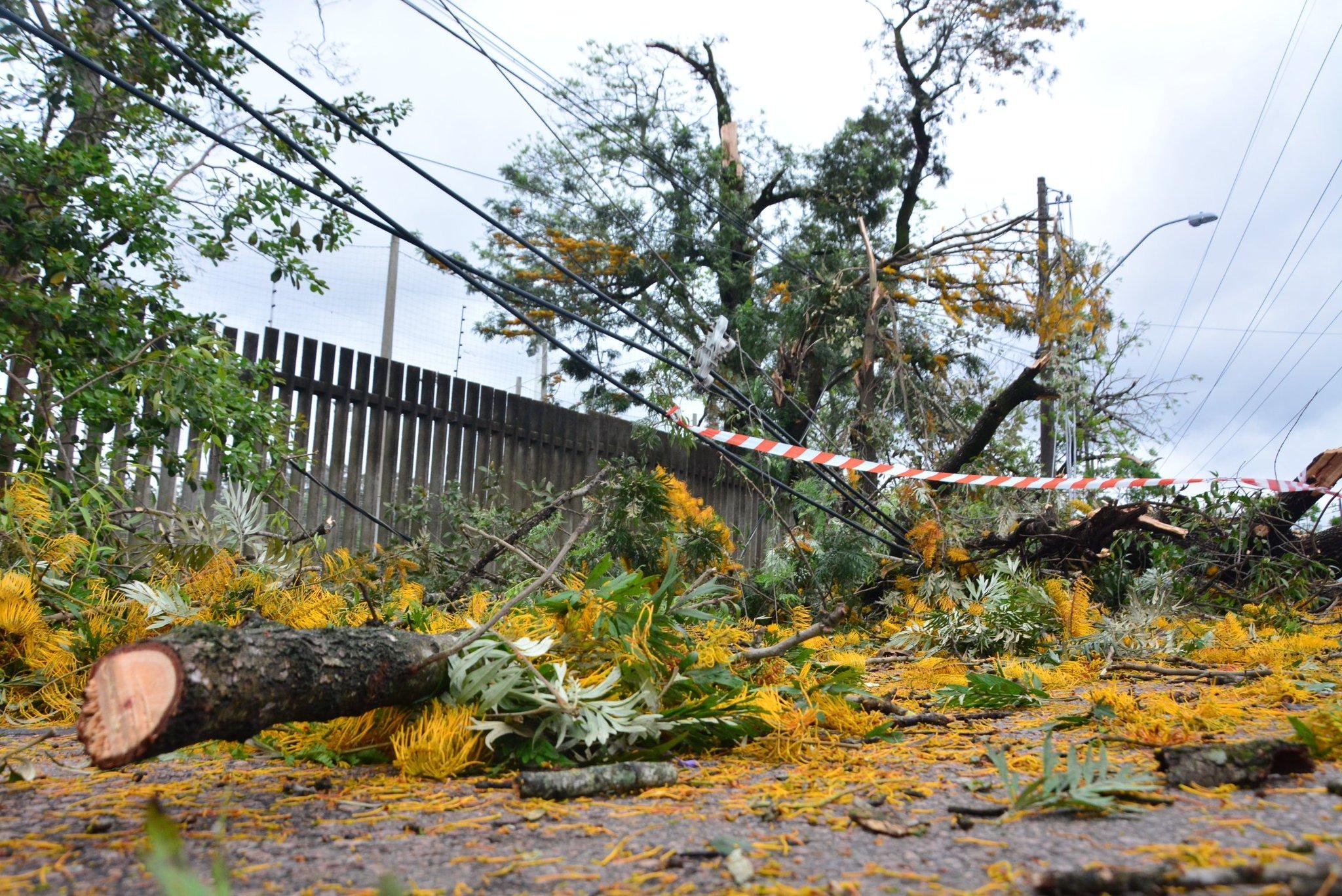 V&aacute;rias ruas de Porto Alegre est&atilde;o bloqueadas por quedas de &aacute;rvores e outros problemas