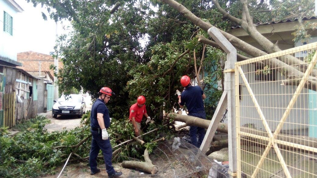 Em Sapucaia, uma unidade de sa&uacute;de do bairro Sete est&aacute; sem atendimento devido a queda de uma &aacute;rvore