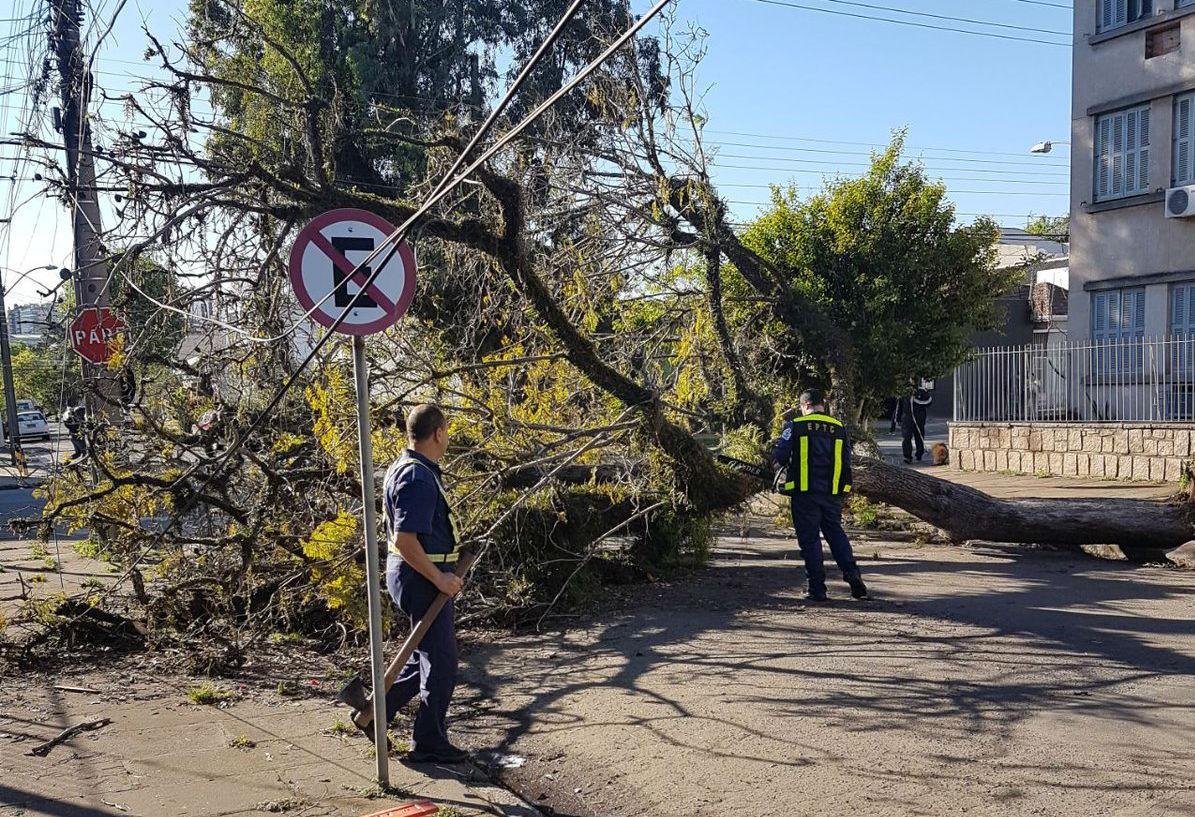 EPTC retirou &aacute;rvore que bloqueava a Par&aacute;