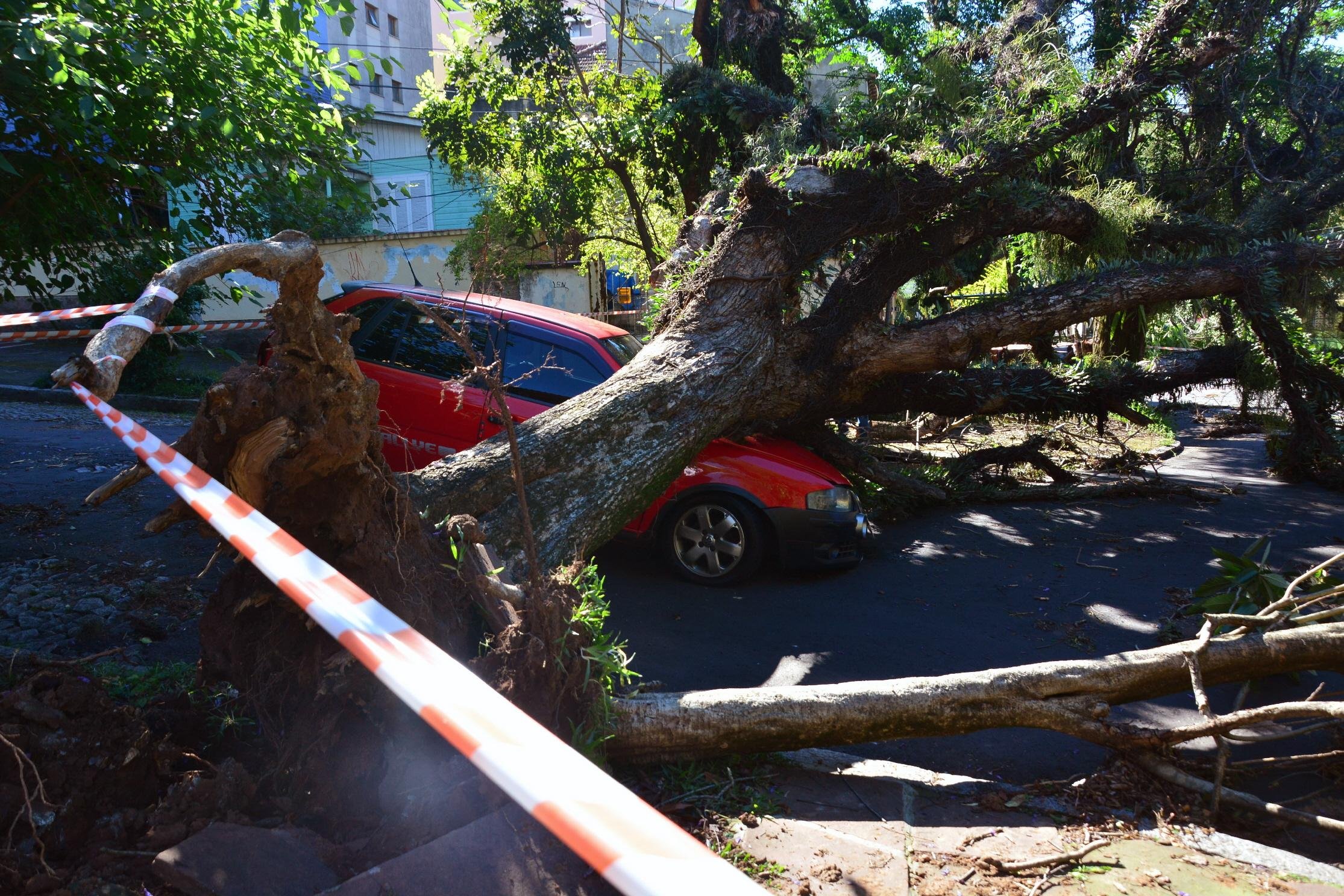 Carro foi atingido por uma enorme &aacute;rvore na Ferreira Viana
