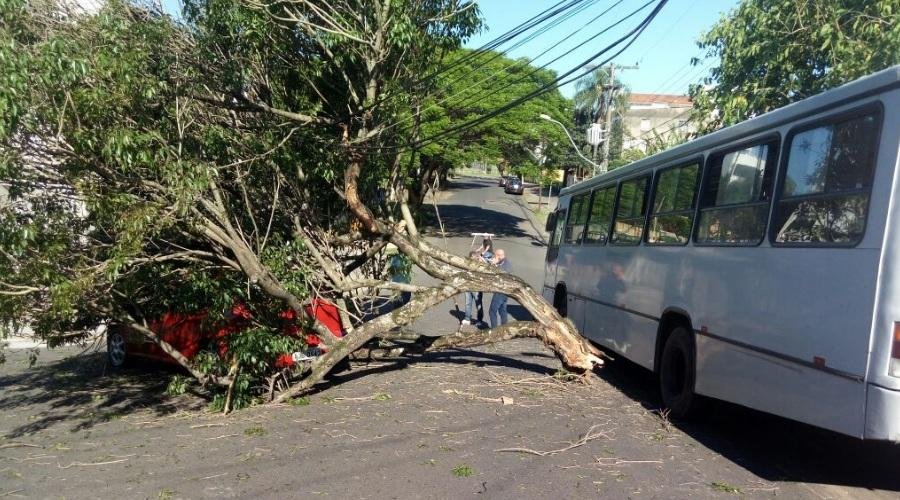 Quinze pessoas ficam feridas em colis&atilde;o de &ocirc;nibus contra &aacute;rvore em Porto Alegre 
