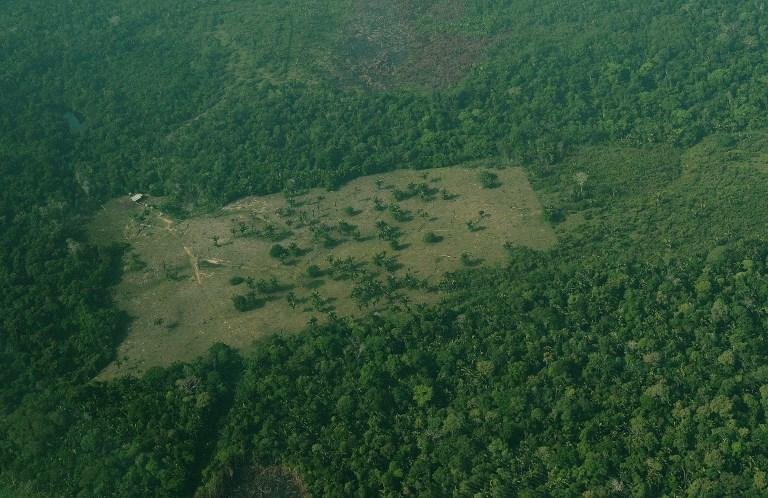 Minera&ccedil;&atilde;o foi respons&aacute;vel por 9% do desmatamento da Amaz&ocirc;nia entre 2005 e 2015