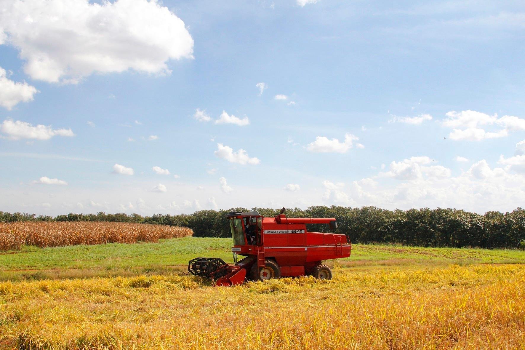 Controle fitossanit&aacute;rio da produ&ccedil;&atilde;o agr&iacute;cola do Rio Grande do Sul passa a ter regras consolidadas