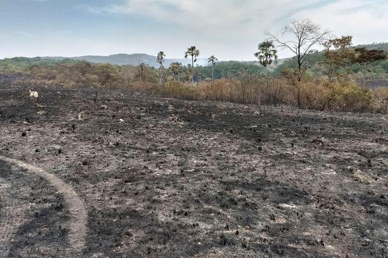 Inc&ecirc;ndio j&aacute; destruiu mais de 20% de Parque da Chapada dos Veadeiros