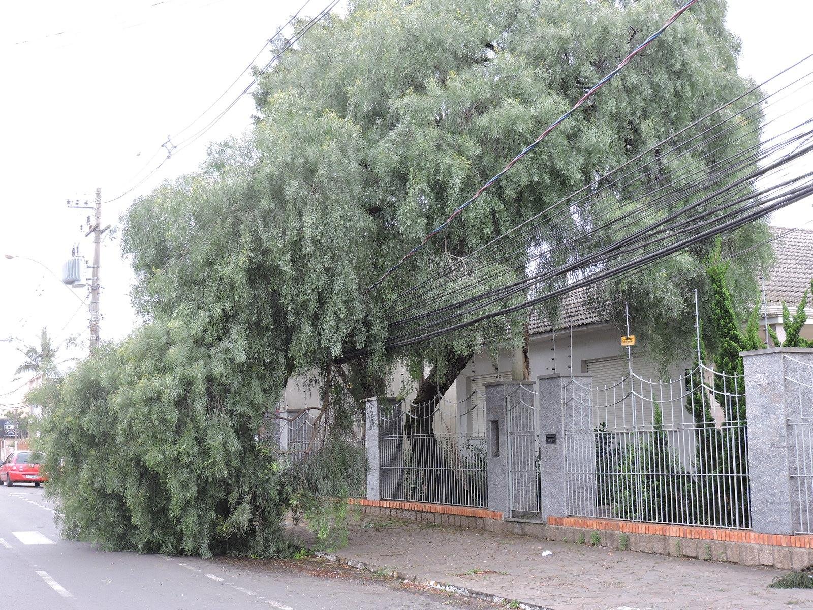 Fam&iacute;lia fica desabrigada ap&oacute;s casa cair com vendaval em Gravata&iacute;