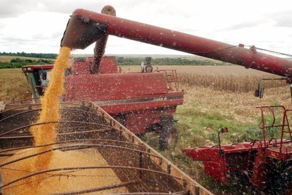 Soja e milho dever&atilde;o responder por cerca de 89% de toda a produ&ccedil;&atilde;o