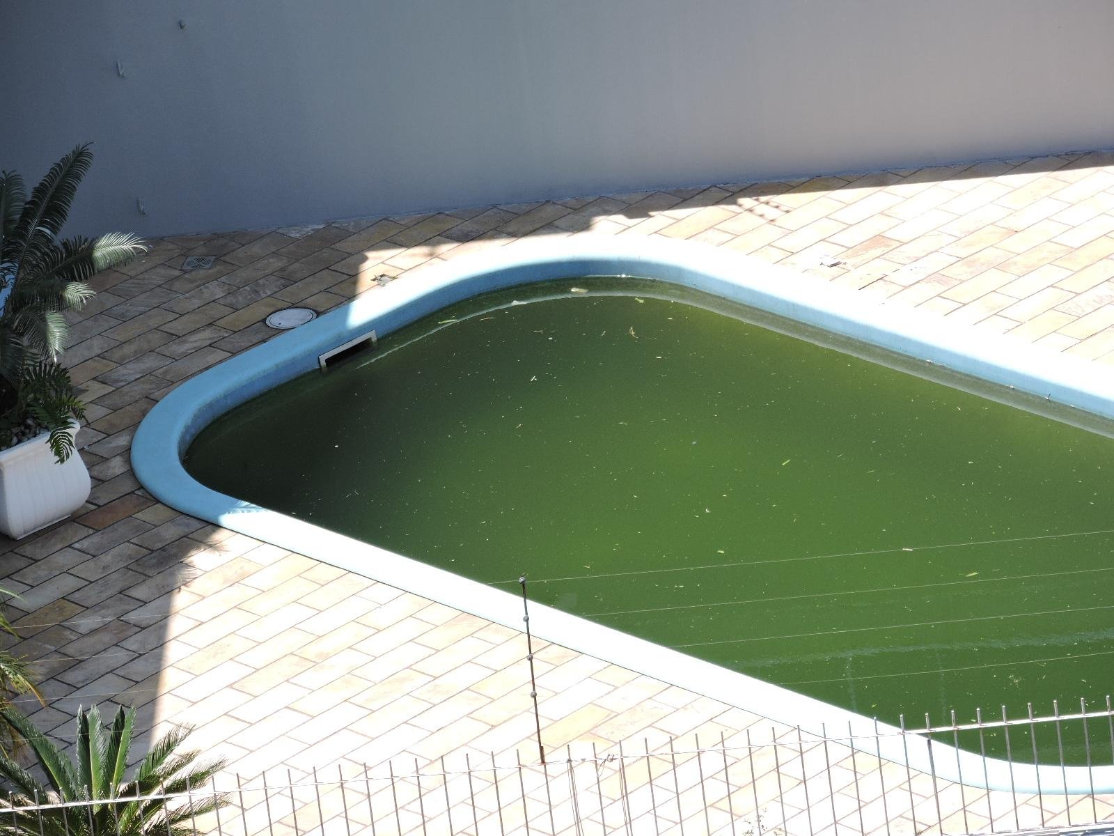 Equipes detectam larvas do Aedes Aegypti em 42 im&oacute;veis de Sapucaia