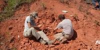 Novo fóssil é encontrado no interior de Candelária