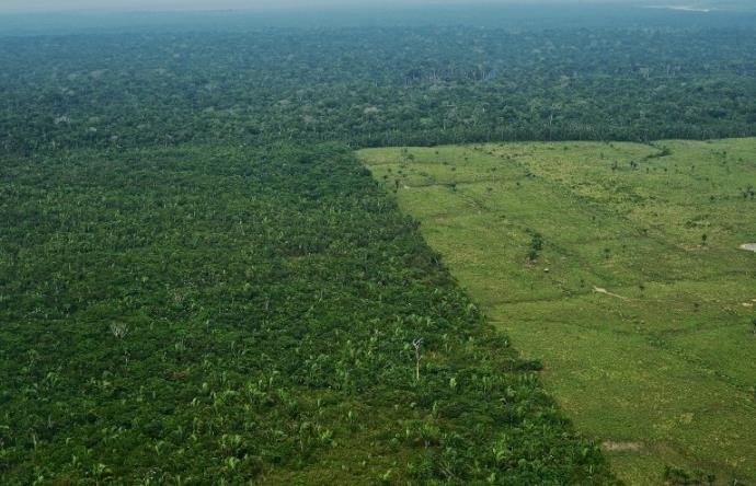 MPF move 757 a&ccedil;&otilde;es contra desmate na Amaz&ocirc;nia