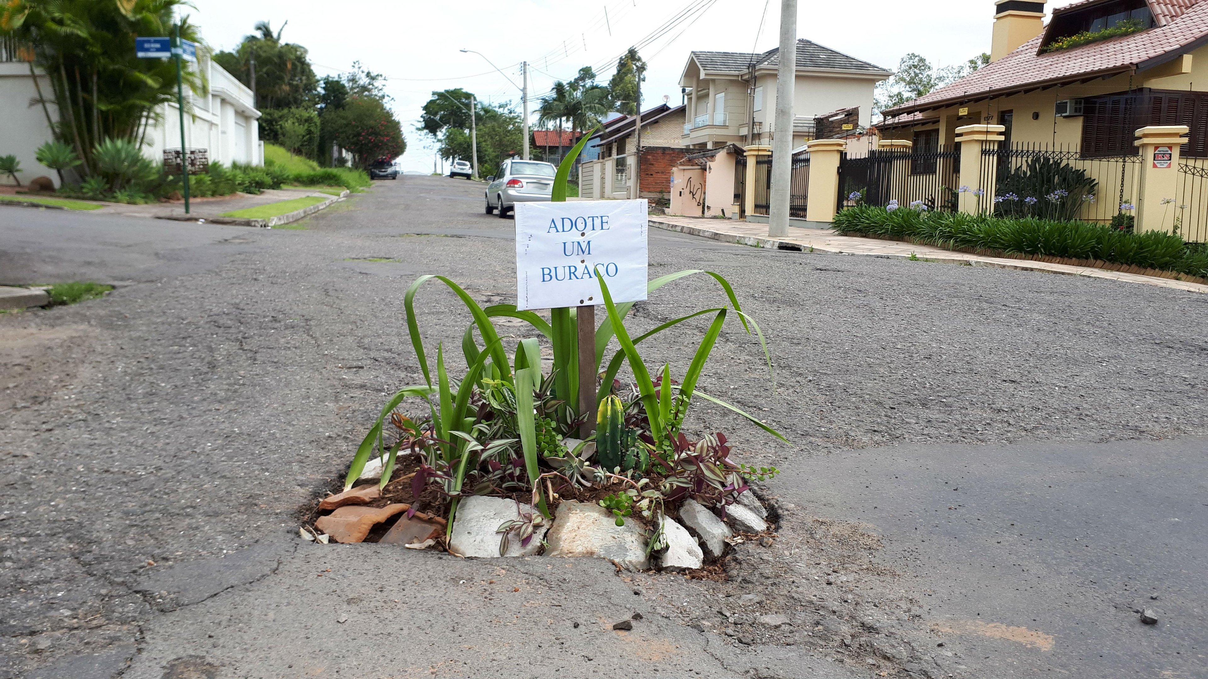 Moradores sinalizam buracos com flores em Novo Hamburgo
