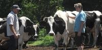 Casal de Colinas investiu na compra de animais e  equipamentos para aprimorar produção de leite