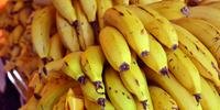 Oscilação se deu devido à queda nos preços de produtos in natura, como a banana