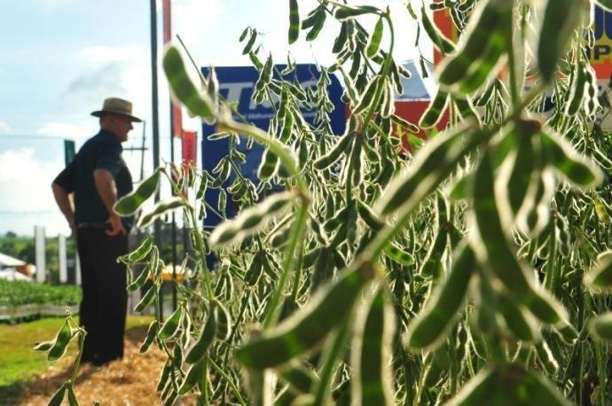 Montante equivale a 6,3% de toda popula&ccedil;&atilde;o de 166,7 milh&otilde;es de pessoas em idade de trabalhar