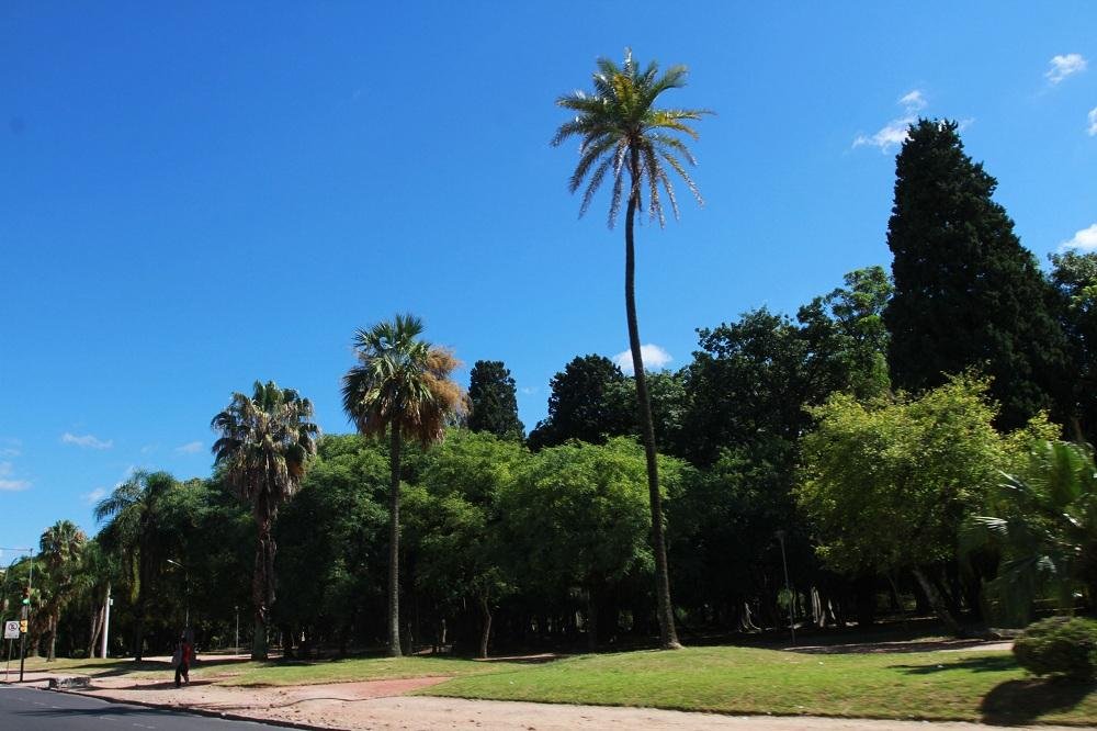 Porto Alegre ter&aacute; predom&iacute;nio de sol e calor nesta ter&ccedil;a