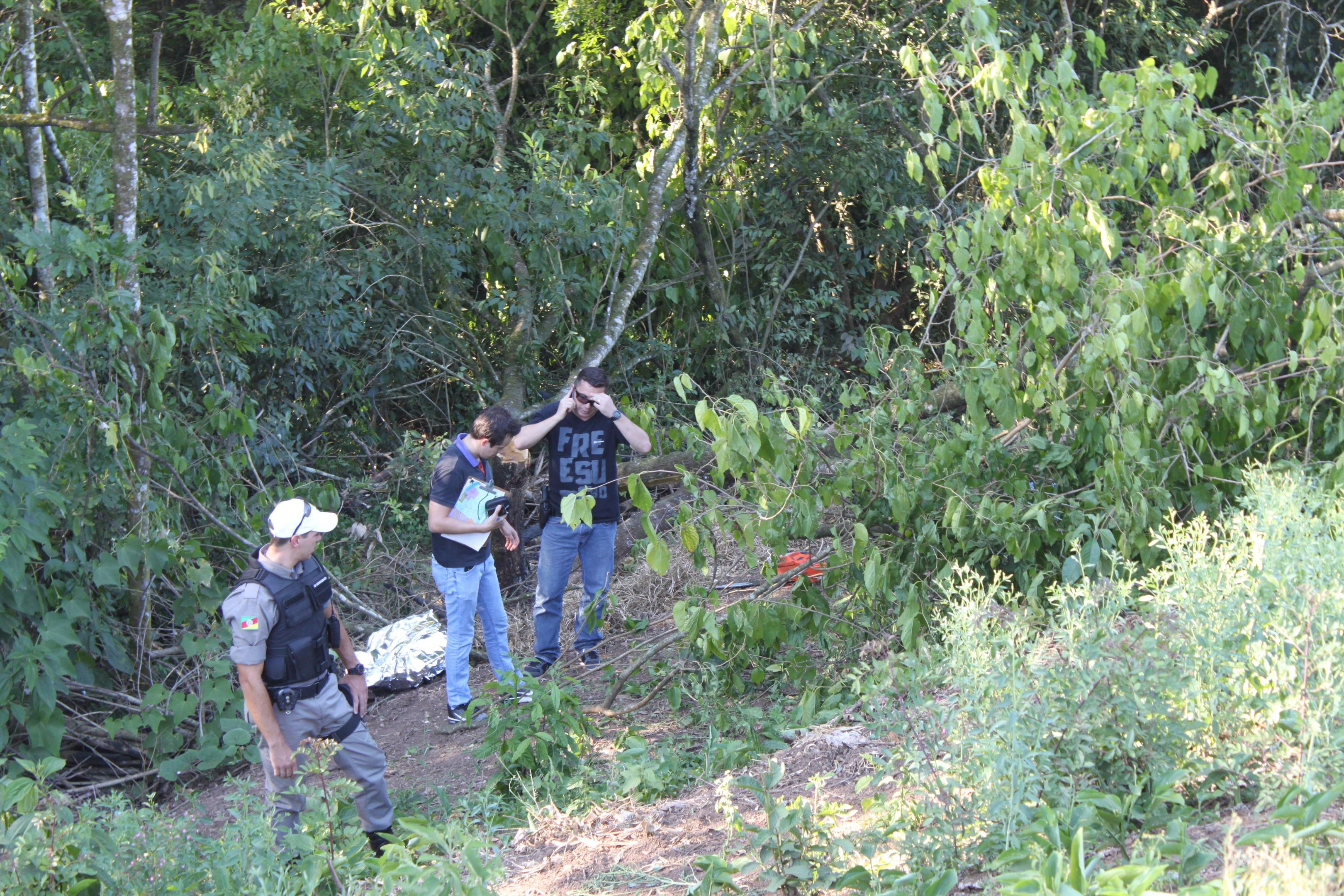 Homem morre com queda de &aacute;rvore em Encantado 