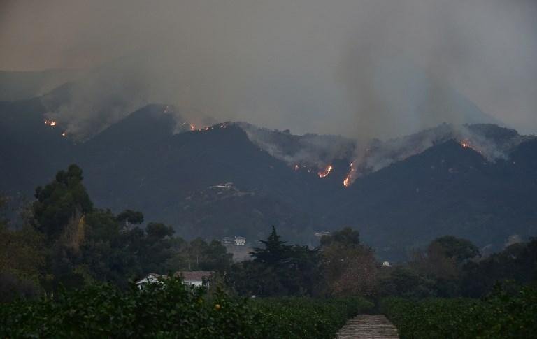 Propaga&ccedil;&atilde;o de inc&ecirc;ndios na Calif&oacute;rnia &eacute; reduzida