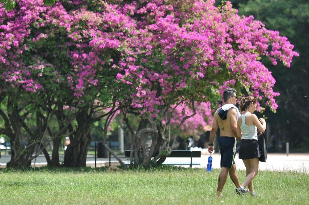 Porto Alegre ter&aacute; s&aacute;bado ensolarado e deve atingir 38&deg;C