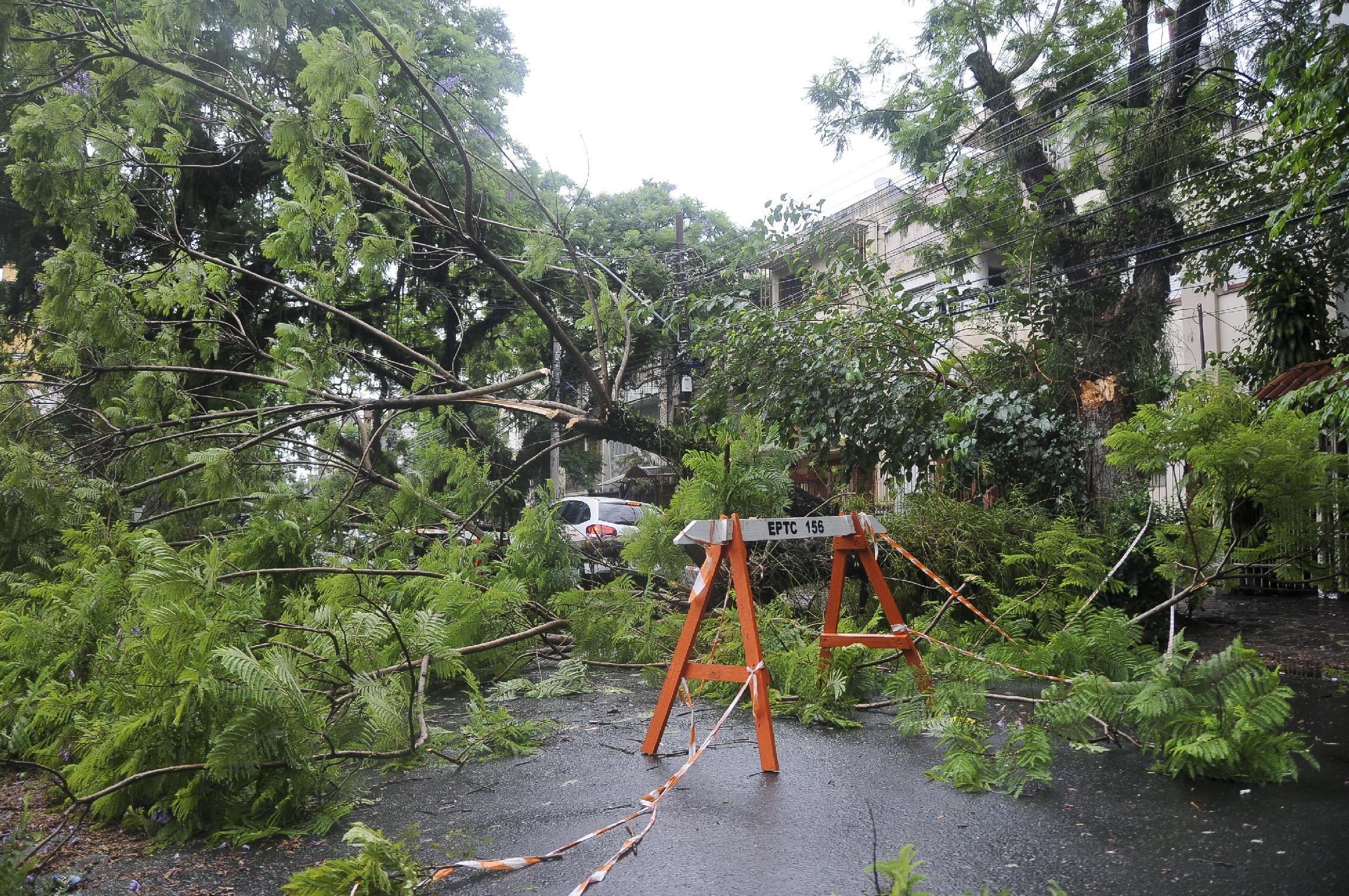 Temporal provocou quedas de &aacute;rvores em Porto Alegre