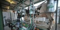 Minério, bovinos e leite in natura contribuem mais para alta do IPA no IGP-M 
