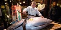 Famoso mercado de peixe de Tóquio realizou leilão de Ano Novo nesta madrugada