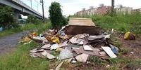 Grupo já registrou três flagrantes de descarte irregular de resíduos em São Leopoldo