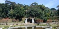 Instituto de Botânica de São Paulo fica dentro do Jardim Botânico