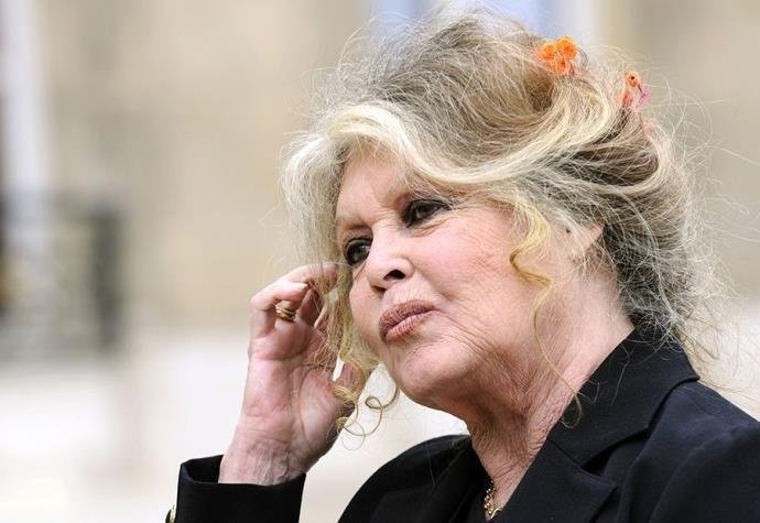 Em novo livro, Brigitte Bardot explica seu amor pelos animais
